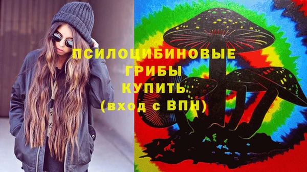 мдпв Иннополис