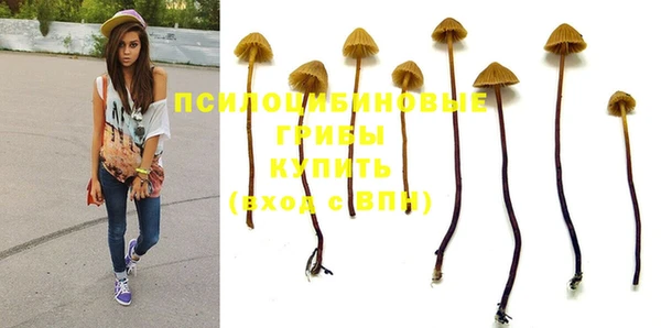 мдпв Иннополис