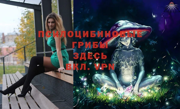 прущие грибы Инсар