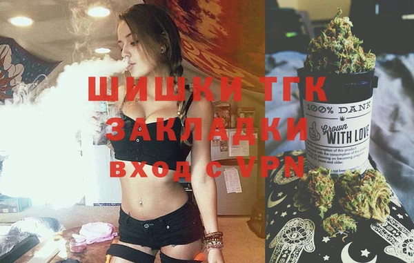 прущие грибы Инсар