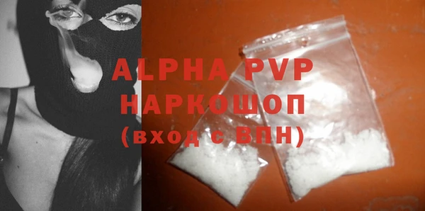 прущие грибы Инсар