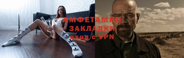 прущие грибы Инсар
