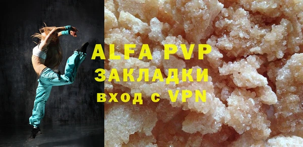 прущие грибы Инсар