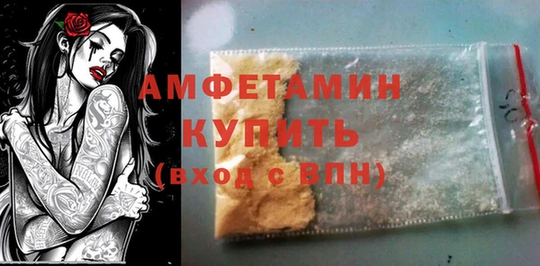 прущие грибы Инсар