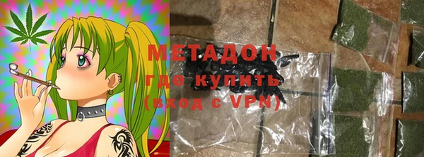 прущие грибы Инсар