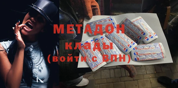 прущие грибы Инсар