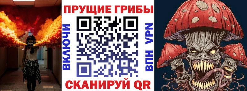 Галлюциногенные грибы GOLDEN TEACHER  Карпинск 