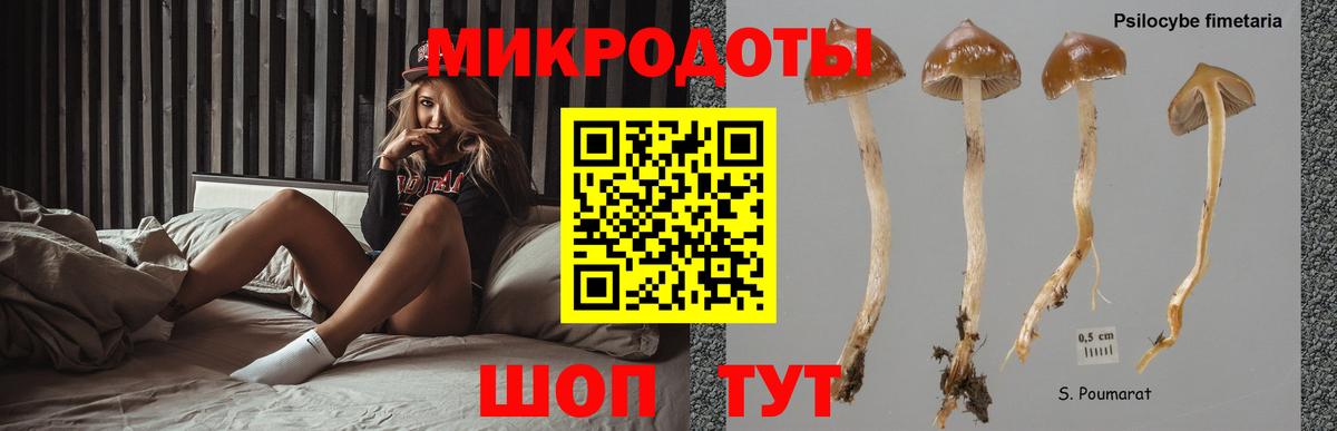 Псилоцибиновые грибы ЛСД Карпинск